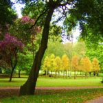 Medicare Supplement Plan F
