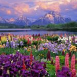 When Can You Change Medicare Supplements